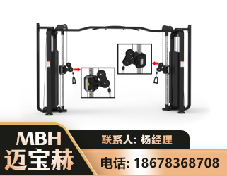 怒江大飞鸟训练器